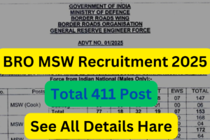 BRO MSW Recruitment 2025