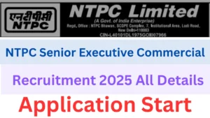 NTPC Senior Executive Commercial Recruitment 2025